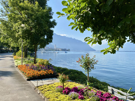 Sympathique les berges vers Montreux