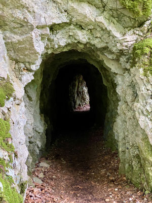 Tunnel creusé le long de l'Orbe