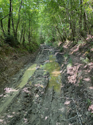 Après la pluie des chemins boueux