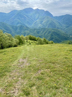 Un chemin très agréable