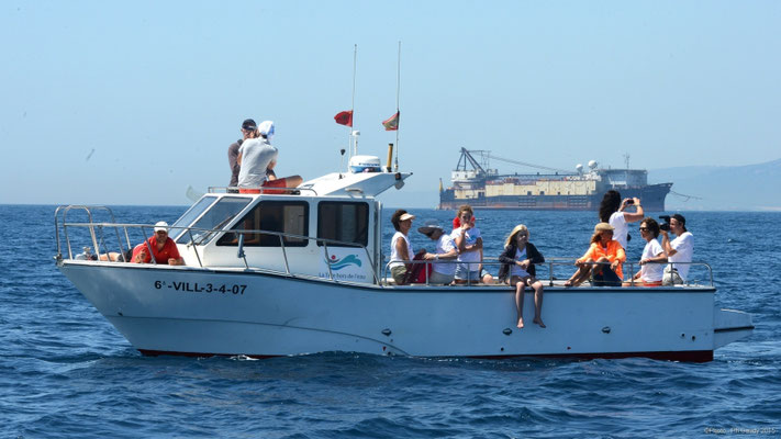 Barco a motor con patrón Tarifa