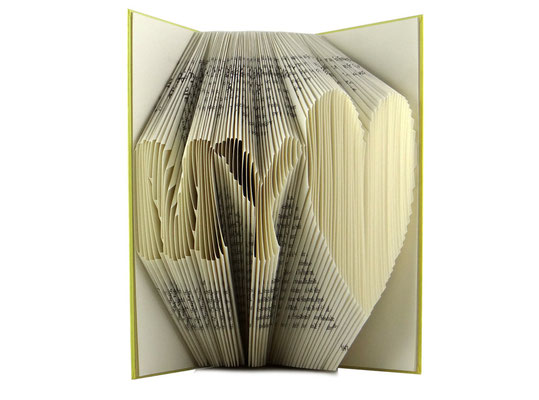 gefaltetes Buch - folded book