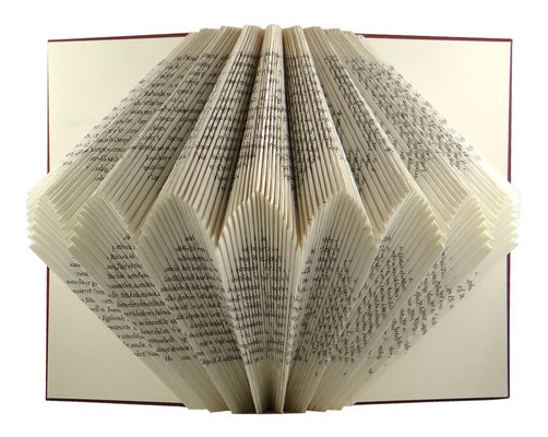 gefaltetes Buch - folded book