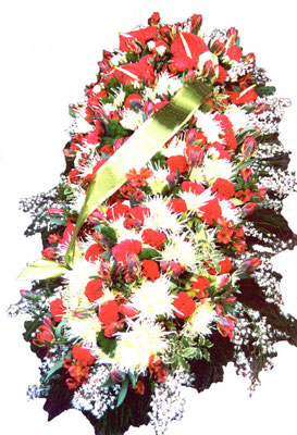D42 Dessus de cercueil blanc et rouge