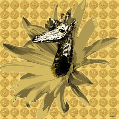 Les girafes naissent dans les fleurs - 2017