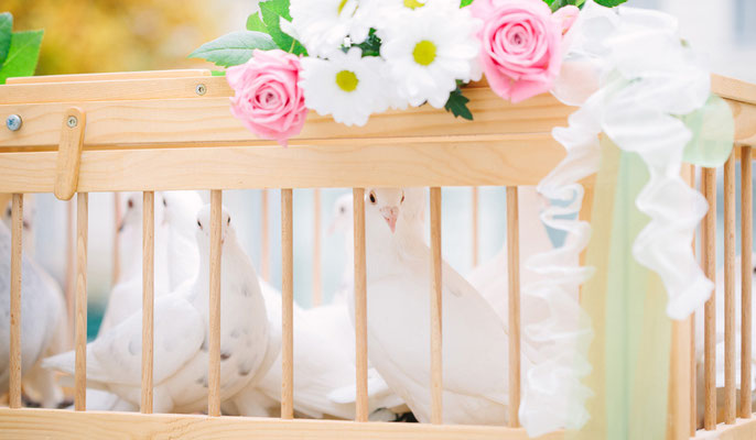 Hochzeitstauben Make My Day Das Hochzeitsmagazin