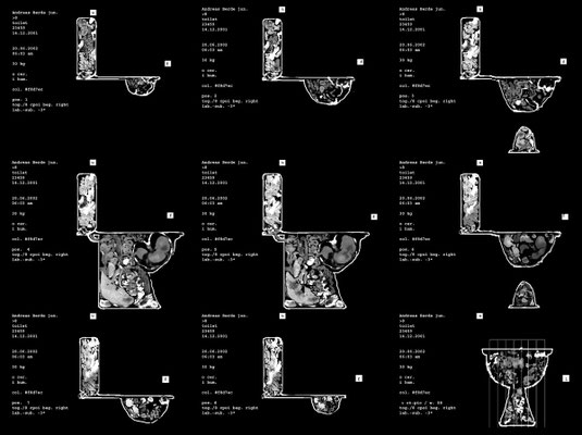 Toilet<br />2002<br />C-Print auf Folie, auf Leuchtkasten<br />90 x 72 cm