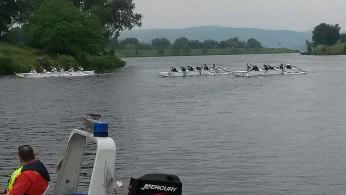 Outrigger Regatta   Bochum Juni 2015