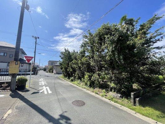 北東側より撮影