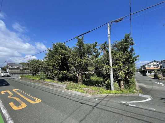 東南側より撮影