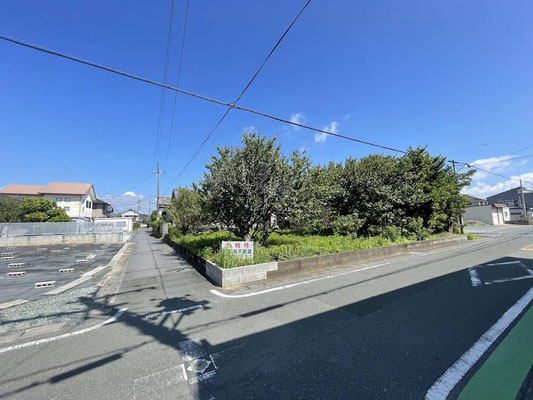 南西側より撮影