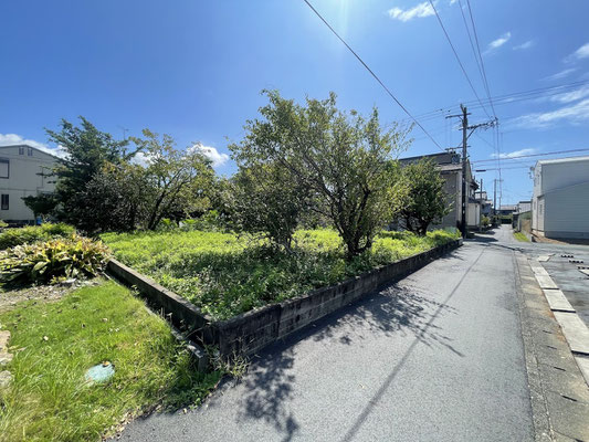 北西側より撮影