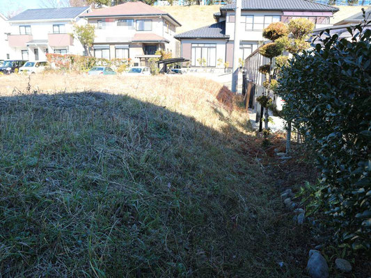 東側の境界の様子