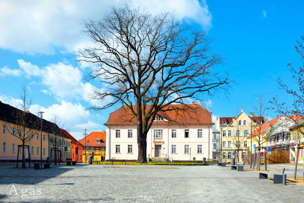 Immobilienmakler Strausberg - Bibliothek im alten Stadthaus