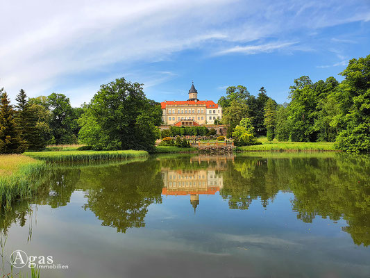 Immobilienmakler Wiesenburg/Mark - Teich im Schlosspark Wiesenburg