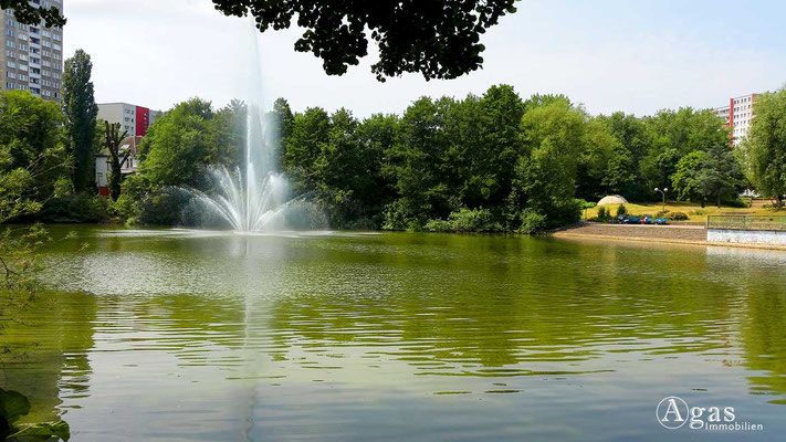 Fennpfuhl - Treppenterasse am Wasser