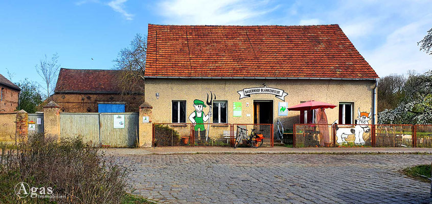 Immobilienmakler Blankenfelde-Mahlow - "Bauernhof Blankenfelde"