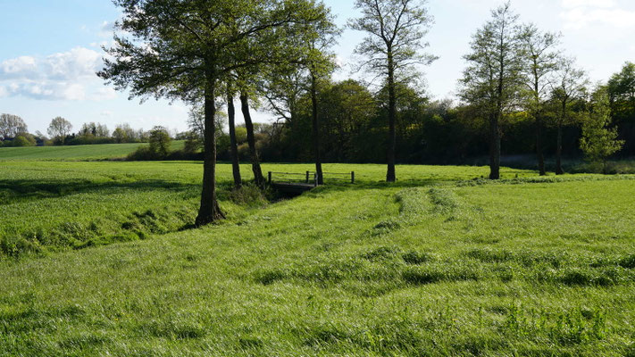 Ferien auf dem Bauernhof, Schleswig Holstein, Angeln, Schlei