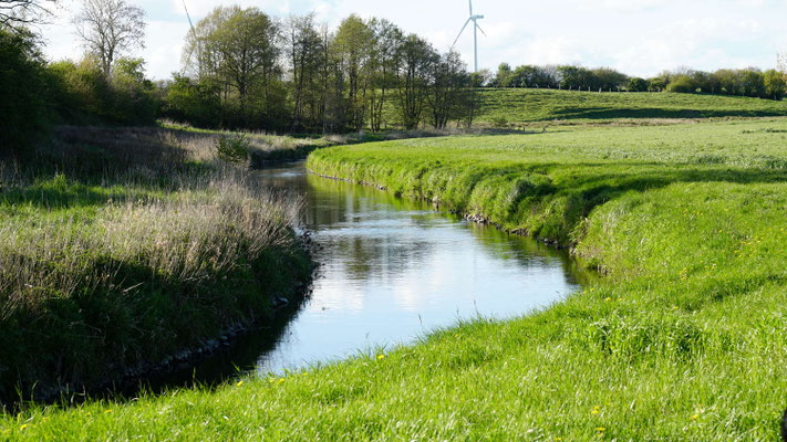 Ferien auf dem Bauernhof, Schleswig Holstein, Angeln, Schlei