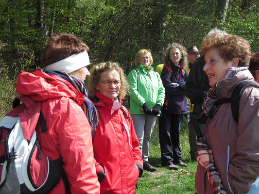 20. April: "Rund um den Langenberg (Grebenstein)"