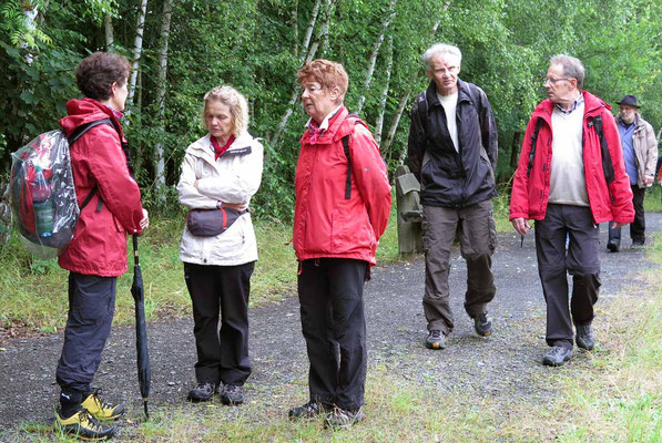 "Um den Borkener See - Braunkohlewanderung", Juni 2014