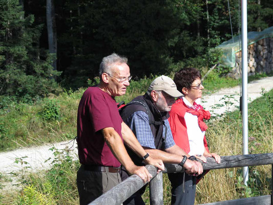 Zum Grünstein, 10.9.15