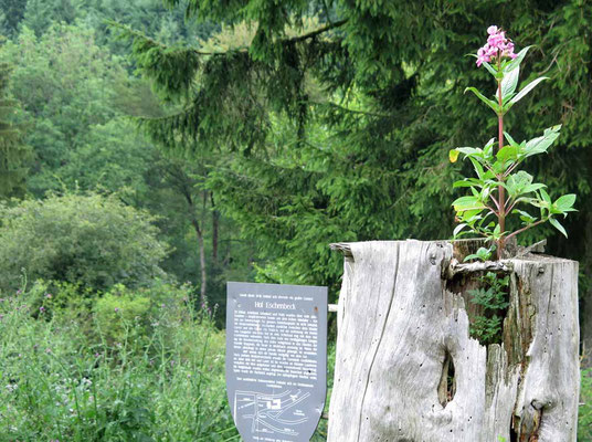 "Zum Eisenberg bei Goldhausen" (17 km), Juli 2014