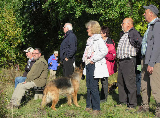 23.10.2016:  Abschlusswanderung zur Schartenburg