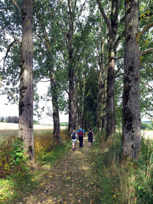 Felsen-Tour bei Herbstein, 19.8.2016