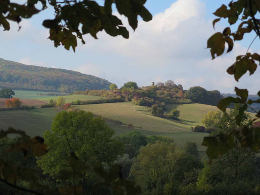 23.10.2016:  Abschlusswanderung zur Schartenburg