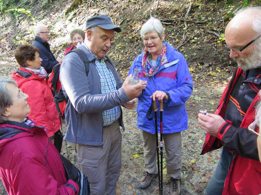 23.10.2016:  Abschlusswanderung zur Schartenburg