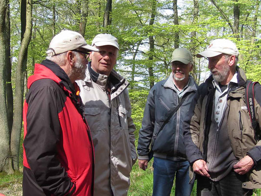 Maiwanderung:  "Um die Gudenberge" mit anschl. Grillen