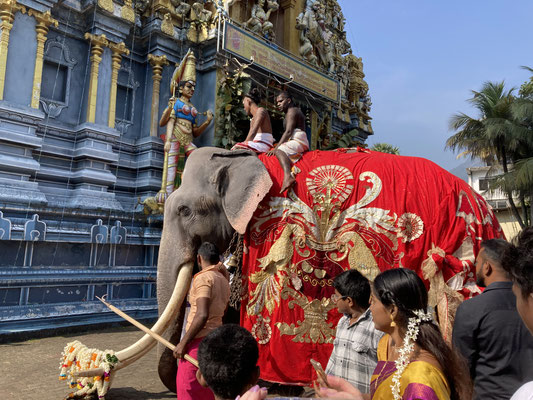 Elefant in der Hinduprozession