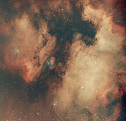 Pelikannebel IC 5070 in Cygnus