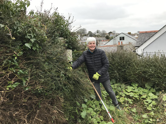 Clearing shrubs and brambles
