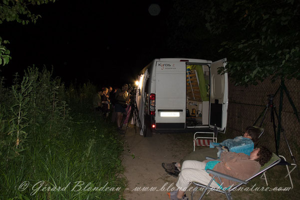 Chasse de nuit au marais de Stors