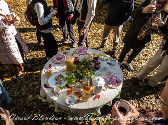 Une collation aux fruits sauvages pour fêter la dernière sortie