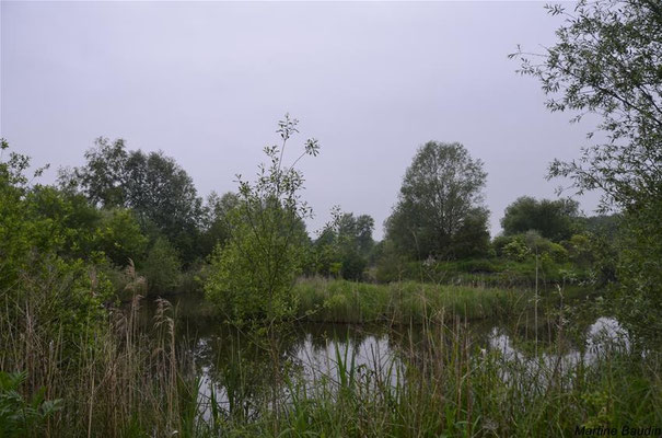 Marais de Baillon