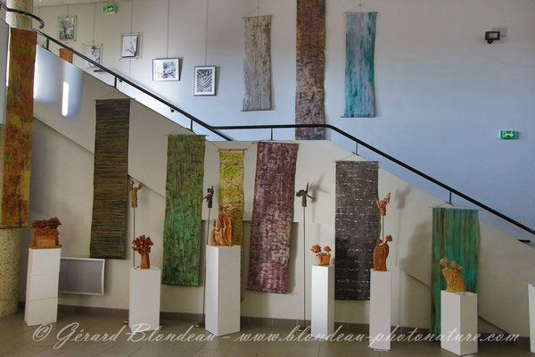 Expo arborescence à Montmorency