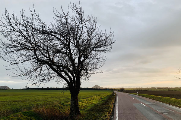 WELFESHOLZ, GERMANY - 2020