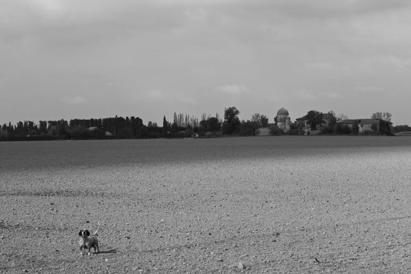 AVIGNON, FRANCE - 2013