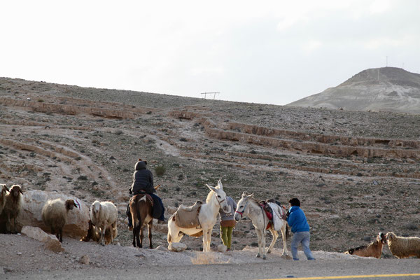 NEGEV DESERT, ISRAEL - 2016