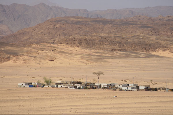 SINAI, EGYPT - 2010