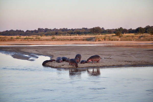 LUANGWA, ZAMBIA - 2018