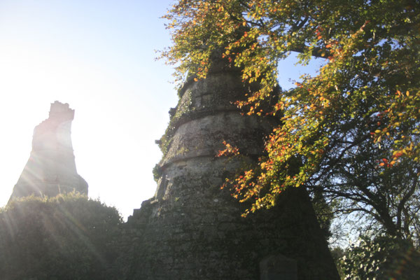 LEIXLIP, IRELAND - 2012