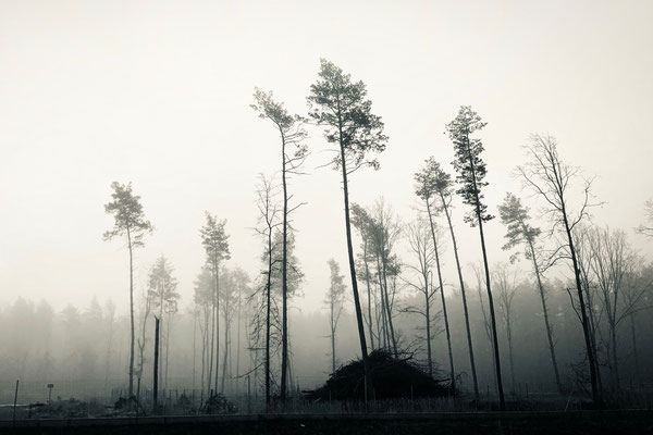 COLBITZ, GERMANY - 2022