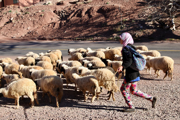 ATLAS MOUNTAINS, MOROCCO - 2019