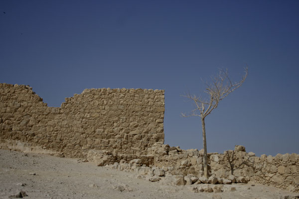 MASADA, ISRAEL - 2011