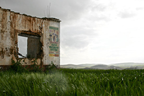 ALBACETE, SPAIN - 2010