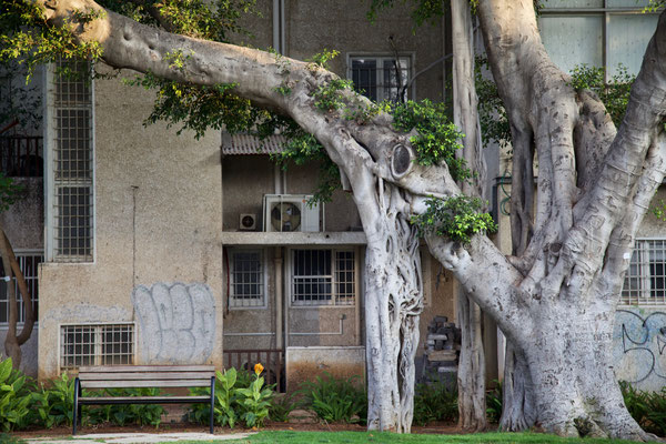 TEL AVIV, ISRAEL - 2017